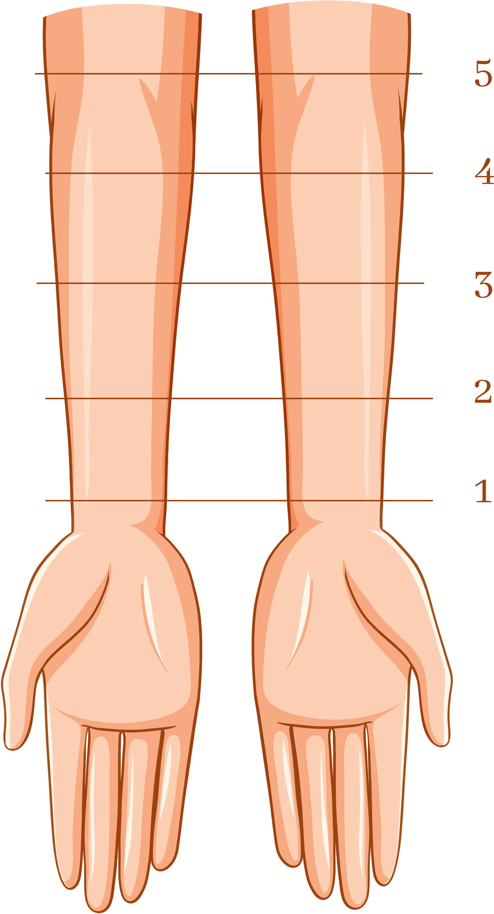 Arm coverage guide showing marks 1 (wrist) through 5 (elbow)